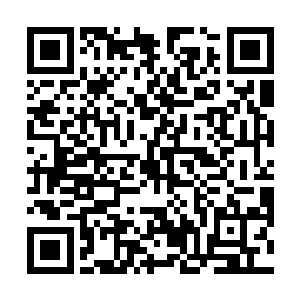 高扬他们对于雨林的知识就这么一点一点的建立了起来二维码生成