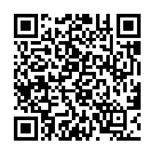 高扬他们来到了一栋看起来非常有历史的老房子门前二维码生成