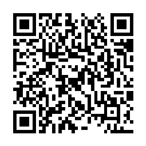 高扬以最快的速度在两个趴着的人背上各开了一枪二维码生成