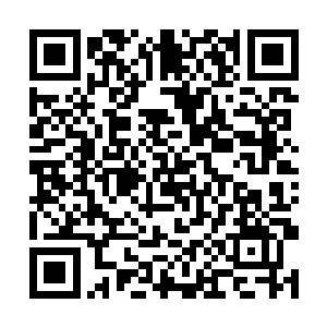 高扬再使出他的断子绝孙脚就只能和学员同归于尽了二维码生成