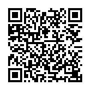 高扬却能和世界上任何一个高手来场硬碰硬的较量二维码生成