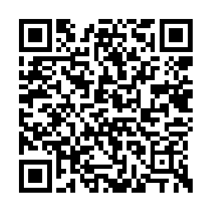 高扬去律师行见律师完成了继承遗产的必要手续二维码生成