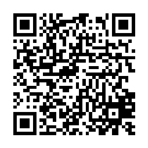 高扬发现那些站的靠后的波兰人在拿过背后的步枪二维码生成