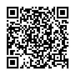 高扬和安东赛尔他们双方之所以都要给小唐尼百分之五的钱二维码生成