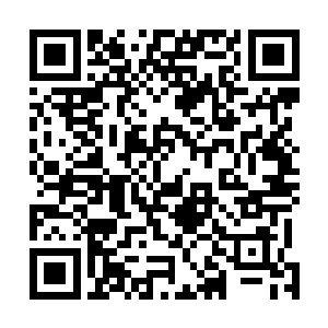 高扬就了解了胡赛武装这短短时间内发生了多么大的改变二维码生成