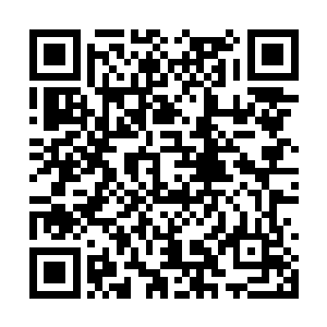 高扬就必须经常性的跟着阿库里部落在沼泽里活动二维码生成