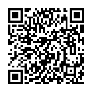高扬强烈的情绪变化只要不是瞎子都能看得出来二维码生成