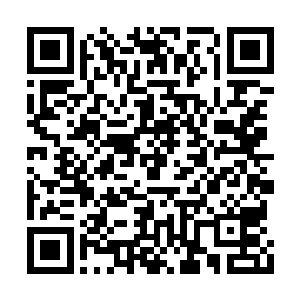高扬很有可能是少数把这两辆概念车都开过的人二维码生成
