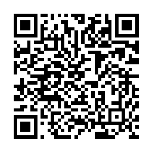高扬怎么看怎么觉得他们这些人也不像是去踢馆的功夫高手二维码生成