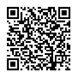 高扬把打空了子弹的手枪往贾斯汀抱着的纸袋里一扔二维码生成