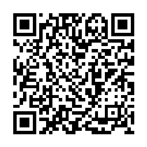 高扬抬腿就是一脚踢向了金基哲的作为支撑脚的左腿二维码生成
