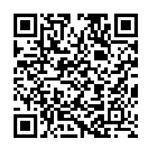 高扬接到枪之后的第一件事就是把所有的枪检查了一遍二维码生成