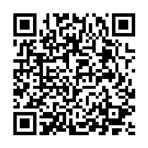 高扬根本不知道还去那里才能再找一个合格的爆破手二维码生成