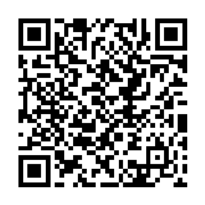 高扬横插了一杆子替那个饭店老板把事儿揽了下来二维码生成