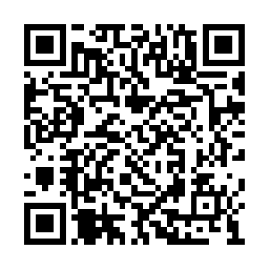 高扬毫不犹豫的拿出了一叠钞票递给了帕斯卡尔二维码生成