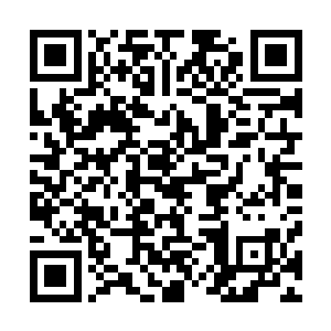 高扬没好气的冲着已经全都聚集在他身边的撒旦众人大吼道二维码生成