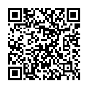 高扬现在才知道李云喆也是那种打起仗来会发狂的类型二维码生成