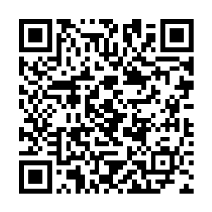 高扬琢磨了一下那些偷猎者会不会打他伏击的可能性二维码生成
