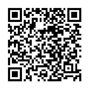 高扬知道为什么本来合适向特种打击部队输血的侦查部队二维码生成