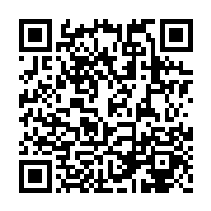 高扬知道正经的中医治骨伤肯定是不用拍片子的二维码生成
