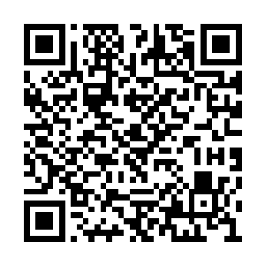 高扬终于看到五个人正在以极快的速度向前猛跑二维码生成