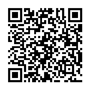 高扬觉得得有个人管着这些无组织无纪律但是有蛮勇的人二维码生成