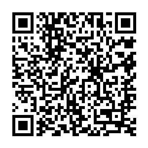 高扬觉的波罗涅申科不太应该是为了丢的那点儿东西就对白鲨帮下手了二维码生成