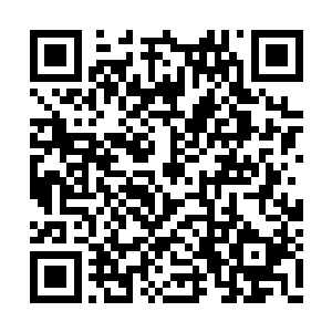 高扬觉的让卡瑞玛来照顾十三号是个不错的借口二维码生成
