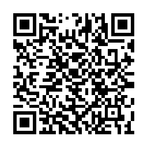 高胖武者被苏林打中了最不容易防御的斧侧位置二维码生成