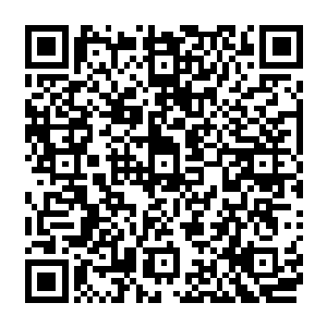 高能白磷凝胶弹――这是地元界所有承担着辅助战斗任务的战士们身上的必带装备之一二维码生成