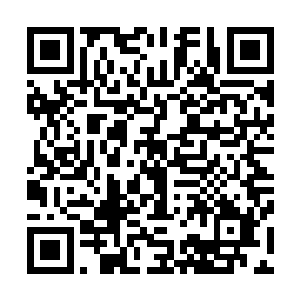 高达高级不朽神体层次的鸿蒙至尊体不朽仙体不朽大日神体二维码生成