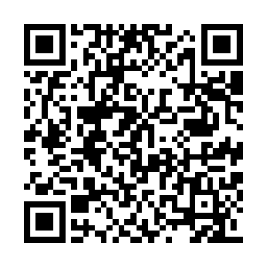 高速刺出的帝王神器与飞天蚁那钢铁之躯想触碰二维码生成