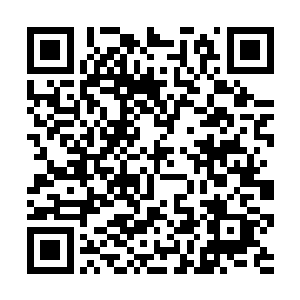 高高在上的几人已经选择性的忽略了池佳一的感受了二维码生成