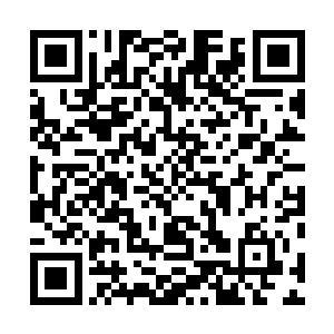 高高在上的战胜者们驱赶着百万牲口一般的同类去往北方二维码生成
