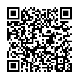 鬣狗就把巴克的医药包用来给外伤不严重的包扎了二维码生成