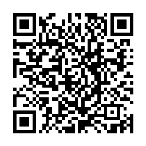 鬼仙教上任教主陨落在三百万年前的那一场两界大战中二维码生成