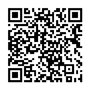 鬼仙教的老妪正浑身虚弱的坐在比她还高的杂草丛中二维码生成