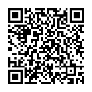 鬼仙教老妪此刻所动用的已经不是自己的本身实力二维码生成