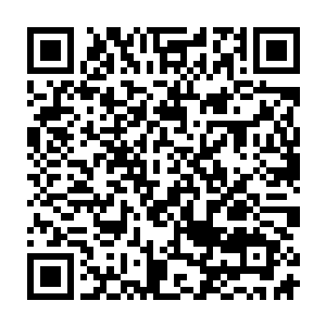 鬼兰原本布在周围的青白色光圈在碰到劫火流光的那一刹那便被吞噬一空二维码生成