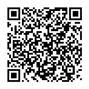 鬼冥见风清扬毫不在意的模样 内心也猜到了半分 于是爽快的道二维码生成