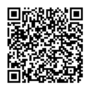 鬼厉和鬼刹他们这三个原本六劫虚神的阴魂此时全都达到了七劫虚神的境界二维码生成