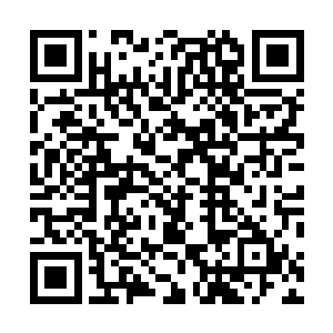 鬼帝已经在西门孤烟和希望的两只手之间不能够移动分换二维码生成