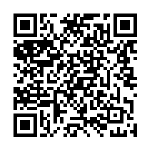鬼影的拳头此刻已经相距这龙王的脑袋还有最后的十厘米二维码生成