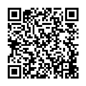 鬼梦游从花苞张开到完全开放就一个时辰的时间二维码生成