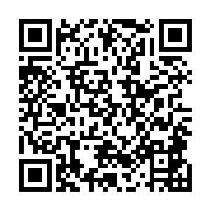 鬼王硬生生的将对方的两处裂开的皮肤用力量缝合了起来二维码生成