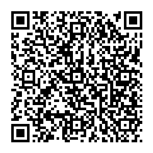 鬼脉乃是当年葬去鬼域斩杀了一个从天界贬谪下来的仇人抽取了他身躯之中的所有力量所凝结而成的鬼脉二维码生成
