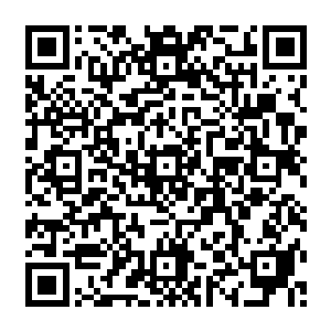 鬼脸蝎凭借着强悍的硬壳和恐怖的数量纷纷跳到鬼魂的身上两只螯钳无情地震散对方的魂魄二维码生成