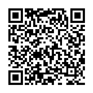 鬼谷二仙和鲁振威以及天威派的其他人都一一没入了玄阵中二维码生成