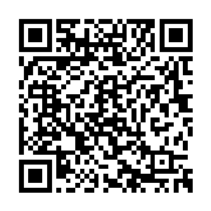 鬼门十三针倒是可以替代噤声符和定身符的功效二维码生成