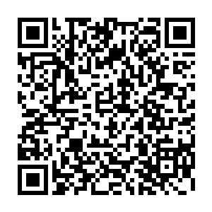 鬼魂和鬼脸蝎发了狂地搏杀一只只鬼魂凝聚出威力不一的鬼术打在鬼脸蝎的身上二维码生成